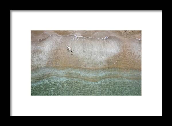 Animal Running Framed Print featuring the photograph Drone aerial of white Dog running and playing at empty sandy beach by Michalakis Ppalis