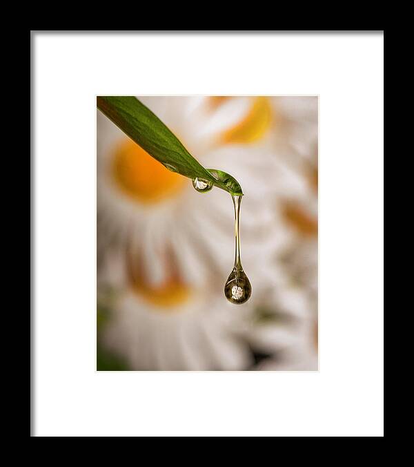 Drop Framed Print featuring the photograph Drop Reflection by Pete Rems