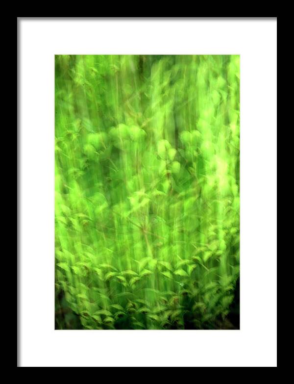 Intentional Framed Print featuring the photograph Dropping ICM by Jerry Sodorff