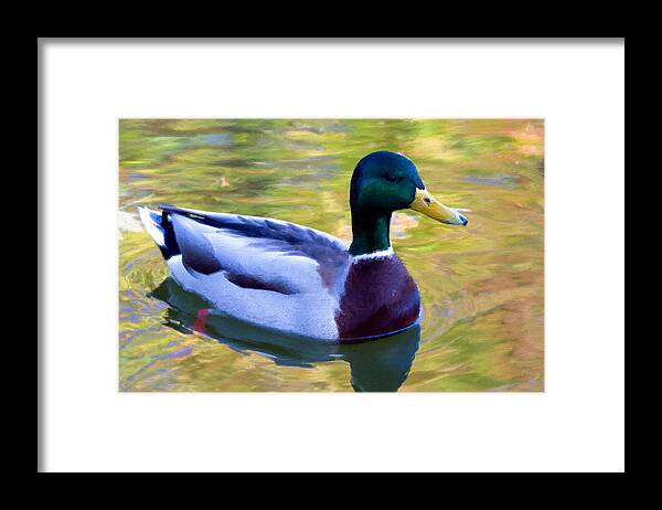 Bird Framed Print featuring the painting Duck Duck Goose Bird Flying Hunting by Tony Rubino