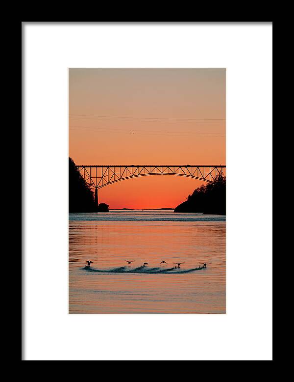 Deception Pass Framed Print featuring the photograph Ducks Under the Bridge by Michael Rauwolf