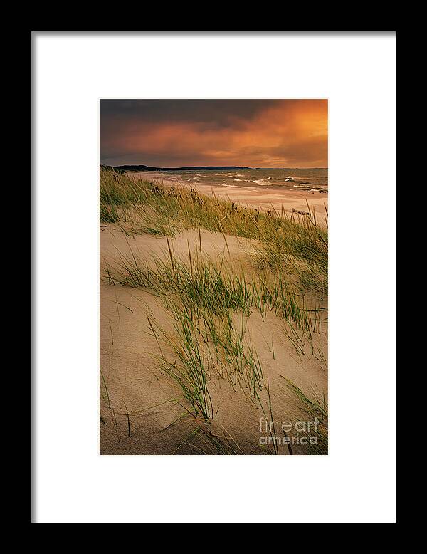 Dune Grass Framed Print featuring the photograph Dune Grass along Lake Michigan SL10664 by Mark Graf