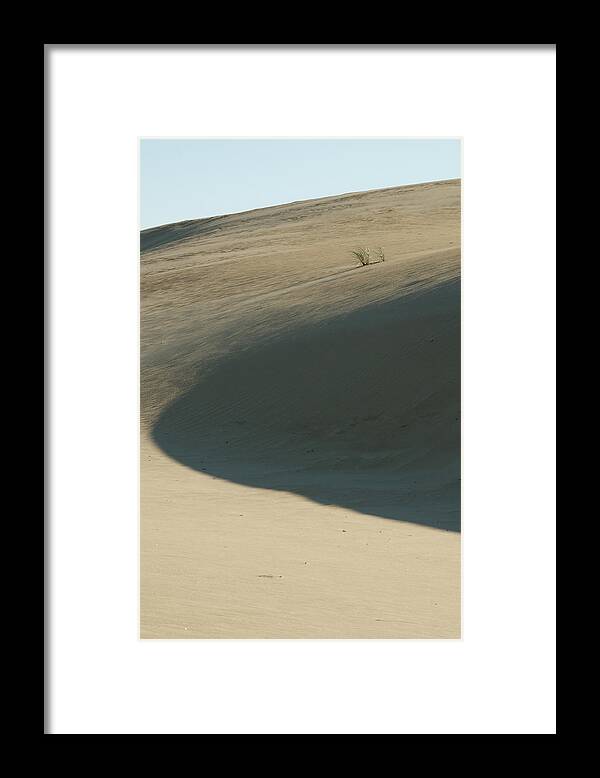 Shadow Framed Print featuring the photograph Dune by Melissa Southern