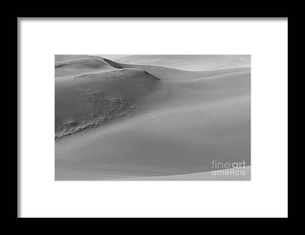 Landscape Framed Print featuring the photograph Dune Wandering by Seth Betterly