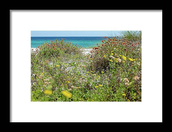 Sowal Framed Print featuring the photograph Dunetop Beach Wildflowers by Kurt Lischka