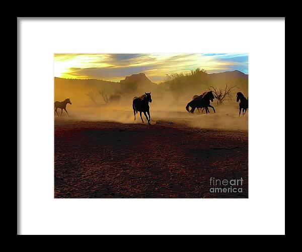 Salt River Wild Horses Framed Print featuring the digital art Dust Storm Rollin In by Tammy Keyes