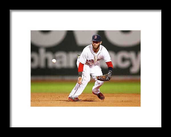 American League Baseball Framed Print featuring the photograph Dustin Pedroia by Jared Wickerham
