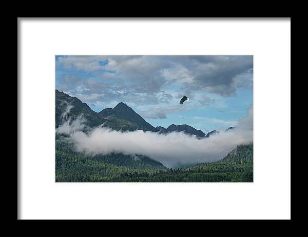Alaska Framed Print featuring the photograph Eagle over Southeast Alaska by Michele Cornelius