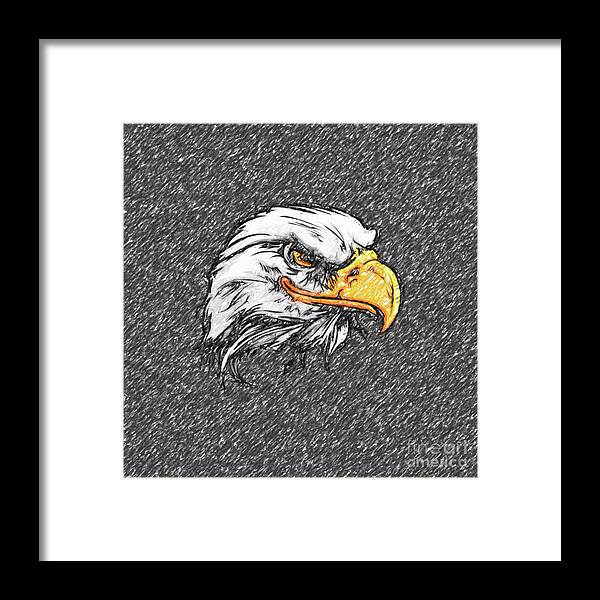 Eagle Framed Print featuring the drawing Eagle sketch by Darrell Foster