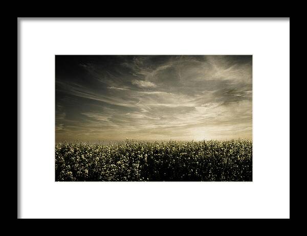 Land Framed Print featuring the photograph Early evening by Yasmina Baggili