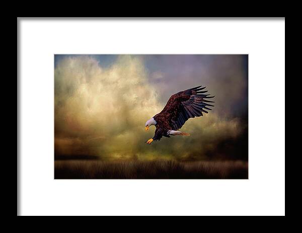 Bald Eagle Framed Print featuring the mixed media Early Morning Hunt by Kathy Kelly