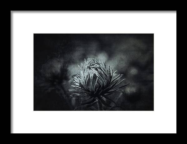 Flower Framed Print featuring the photograph Early morning by Yasmina Baggili