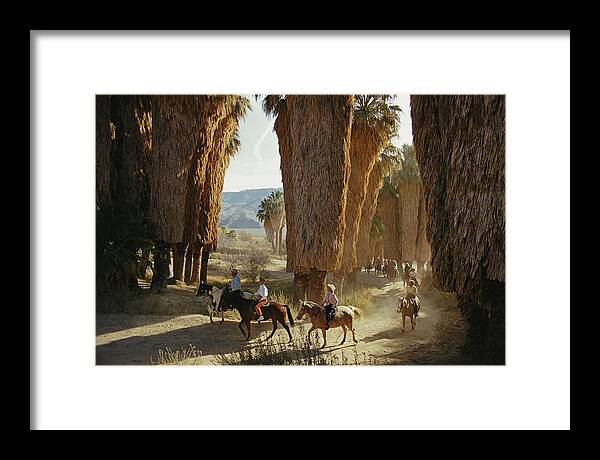 Horse Framed Print featuring the photograph Early Riders by Slim Aarons
