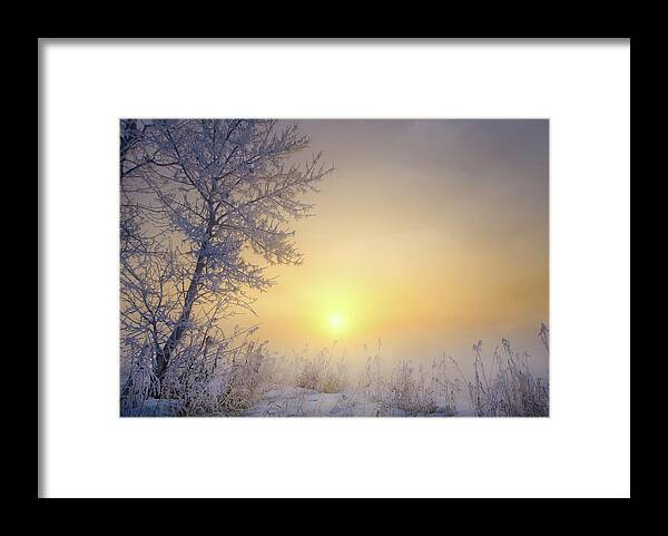 Landscape Framed Print featuring the photograph Early spring or late winter? by Dan Jurak