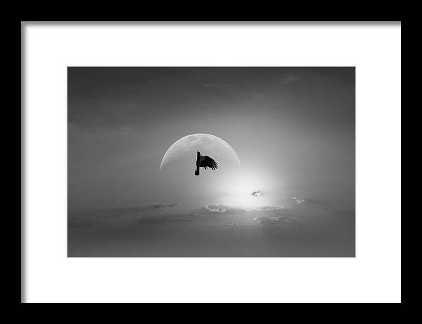 Planet Earth Framed Print featuring the photograph Through Hardships To The Stars/ Black And White Spider Awards Winner 2020 by Aleksandrs Drozdovs