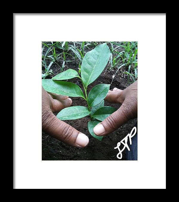 Tree Framed Print featuring the photograph Earthical by Esoteric Gardens KN
