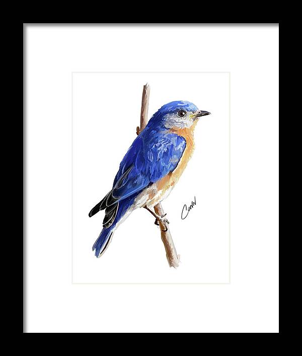 Eastern Bluebird Framed Print featuring the digital art Eastern Bluebird by Shawn Conn