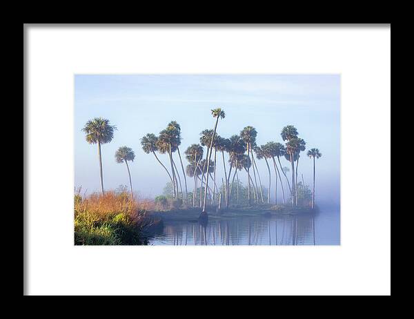 Florida Framed Print featuring the photograph Econ Morning Fog by Stefan Mazzola