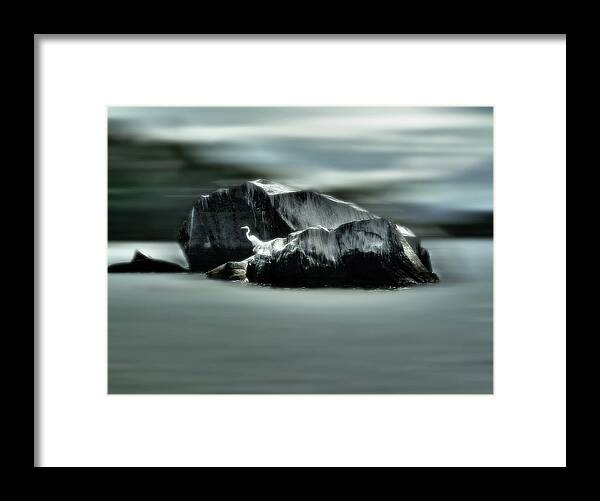 Egret Framed Print featuring the photograph Egret Glow by Wayne King