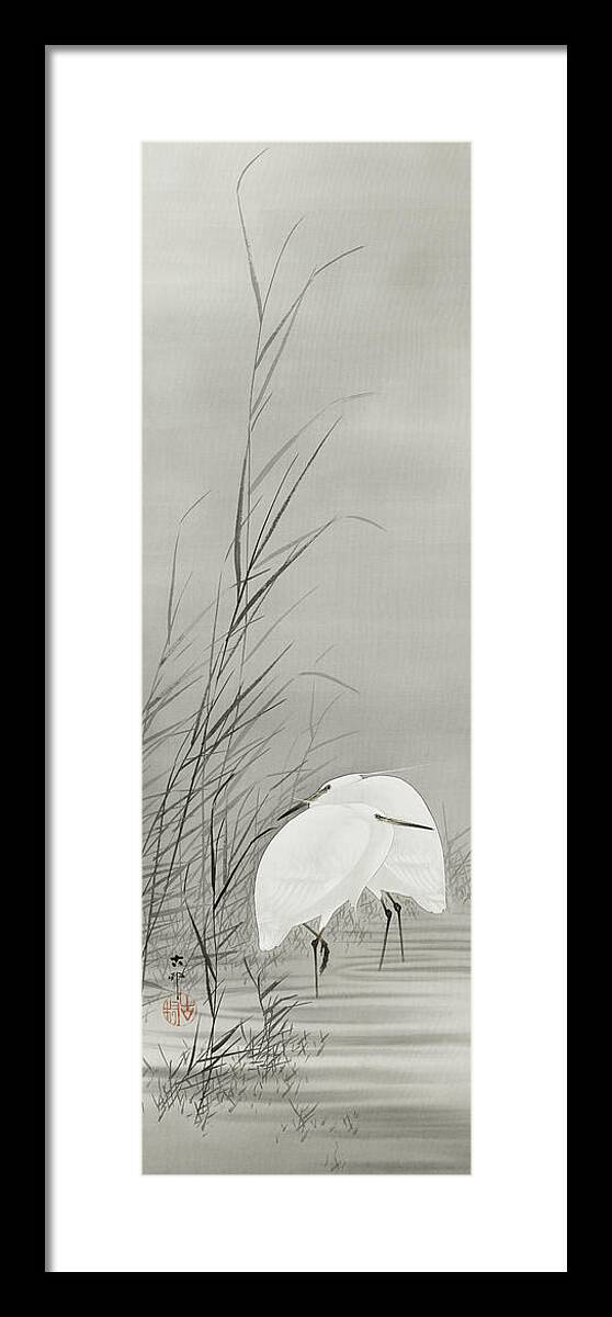 Birds Framed Print featuring the painting Egrets in a swamp by Ohara Koson