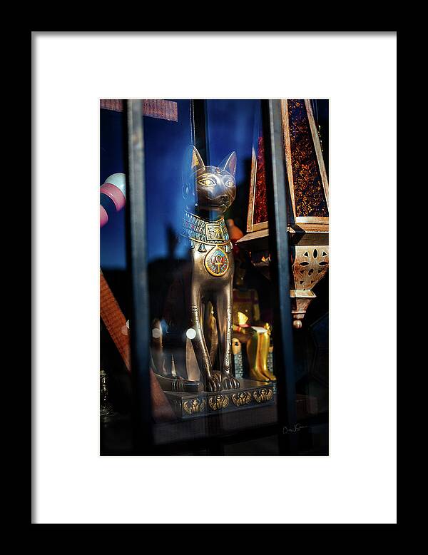 Egypt Framed Print featuring the photograph Egyptian Cat by Craig J Satterlee
