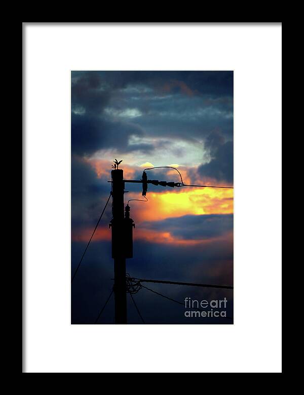 Dramatic Framed Print featuring the photograph Electric Sky by Ellen Cotton