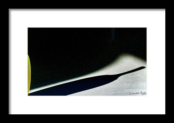 Vase Framed Print featuring the photograph Elegant Shadow by Elisabeth Derichs