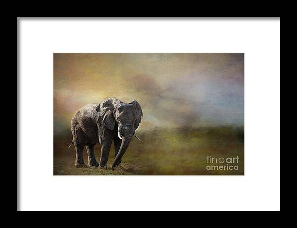 African Elephant Framed Print featuring the photograph Elephant In The Morning by Eva Lechner