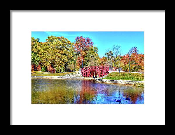 Elm Framed Print featuring the photograph Elm Park in Autumn by Monika Salvan