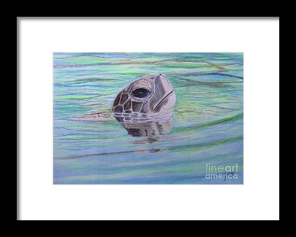 Turtle Framed Print featuring the drawing Emerging by Cybele Chaves