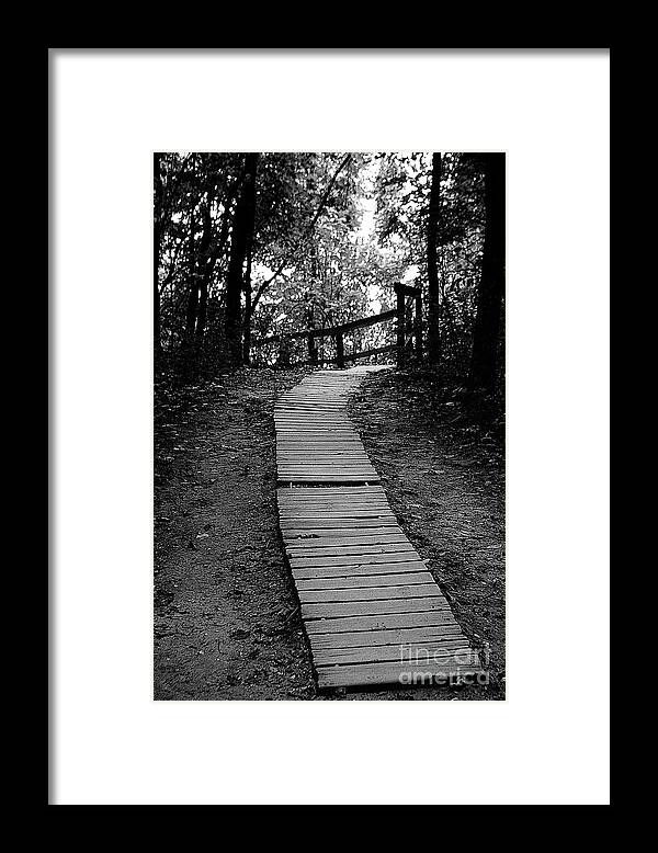 Boardwalk Framed Print featuring the photograph Empire Trail by Randy Pollard