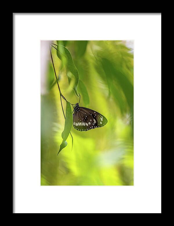 Green Leaves Framed Print featuring the photograph Enchanted by Az Jackson