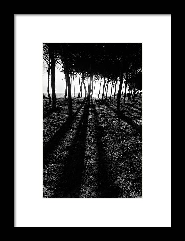 Tree Silhouettes Framed Print featuring the photograph Enchanted sunset in Monochrome by Angelo DeVal