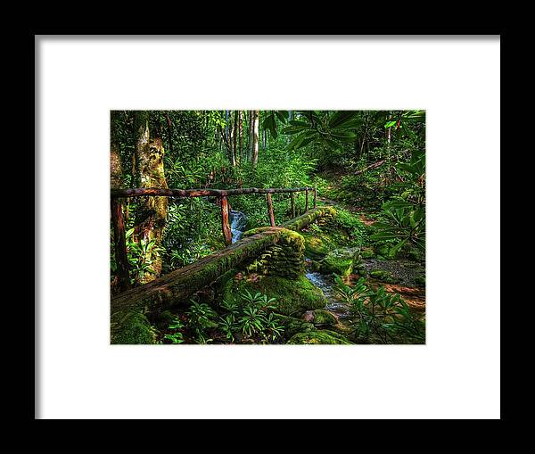 Photo Framed Print featuring the photograph Enchanting Bridge by Evan Foster