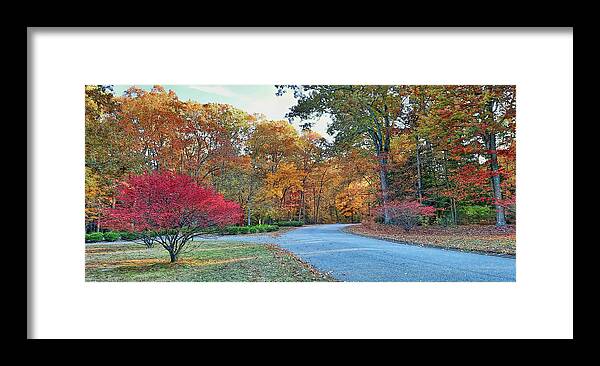 Autumn Framed Print featuring the photograph Enchantment of Fall Colors by Ola Allen
