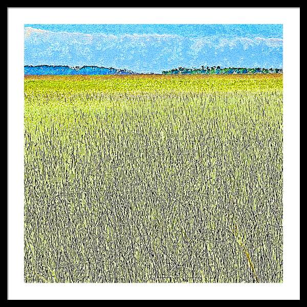 Seagrass Framed Print featuring the photograph Endless Seagrass of Savannah by Island Hoppers Art