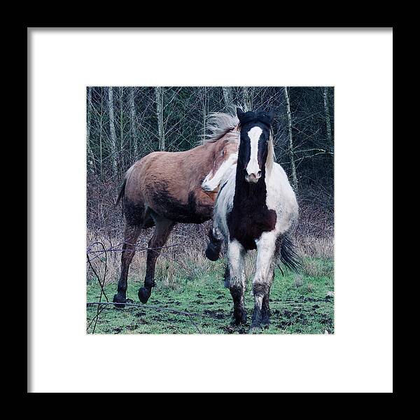 Paint Horse Framed Print featuring the photograph Energy by Listen To Your Horse