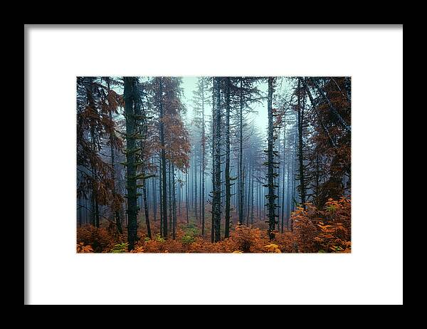 Coastalforest Framed Print featuring the photograph Enticement by Bill Posner