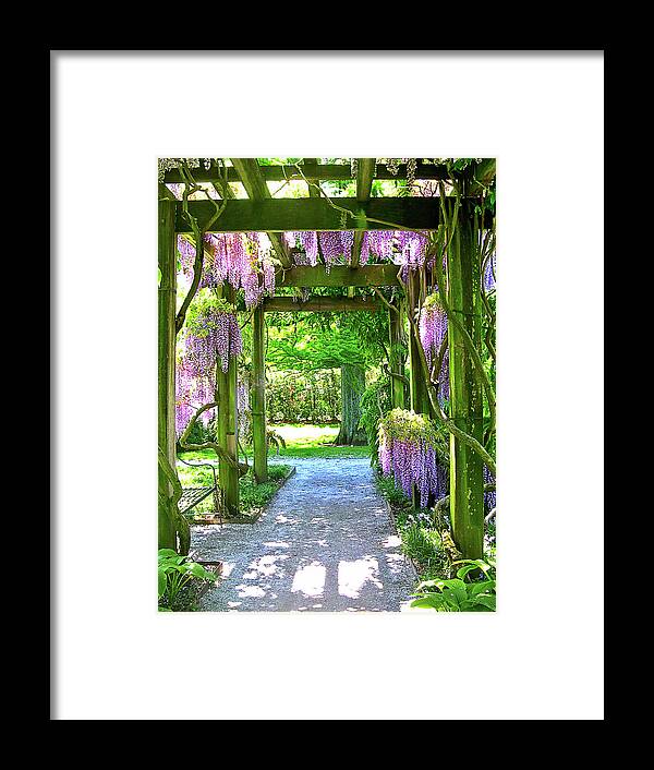 Purple Wisteria Racemes Framed Print featuring the photograph Entranceway to Fantasyland by Susan Maxwell Schmidt