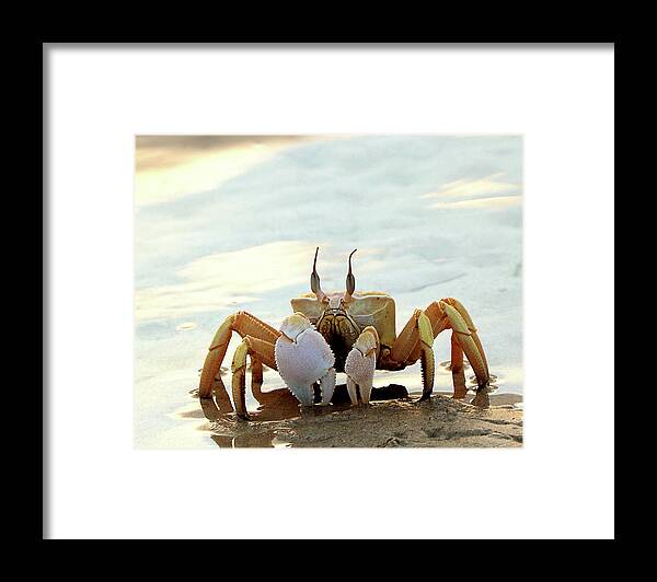  Framed Print featuring the photograph Eric 515 by Eric Pengelly
