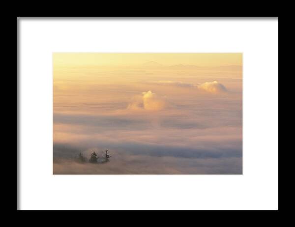 Fogscape Framed Print featuring the photograph Escape by Shelby Erickson