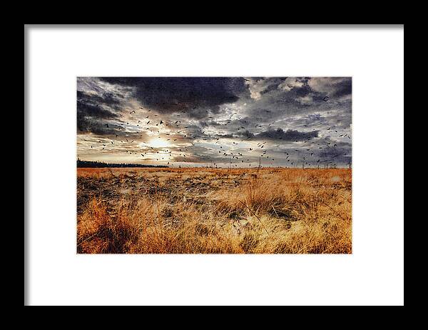 Land Framed Print featuring the photograph Escape by Yasmina Baggili