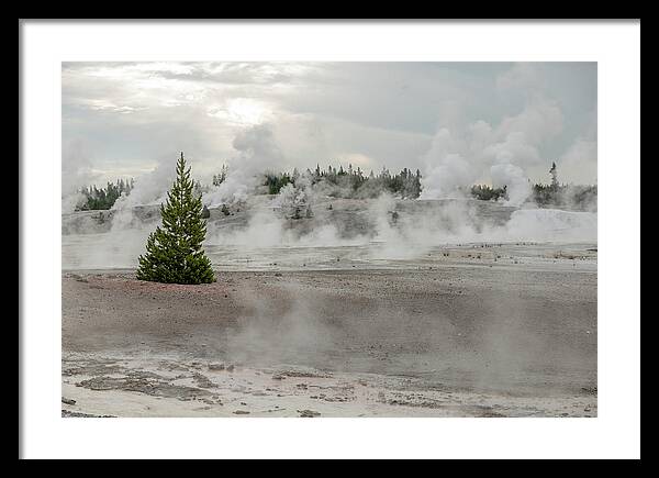 Yellowstone Framed Print featuring the photograph Essence of Yellowstone by Tara Krauss