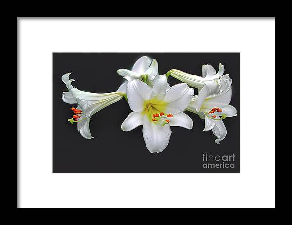 Flowers Framed Print featuring the photograph Ethereal Bloom by Edward Sobuta