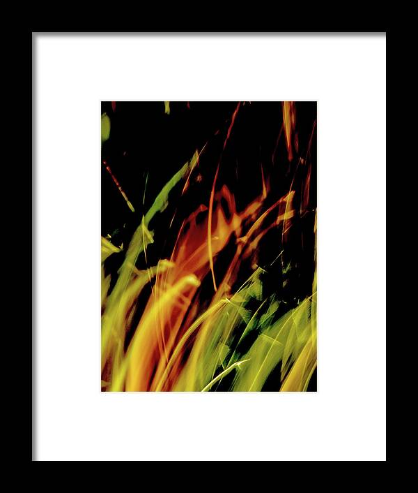 Fine-art Framed Print featuring the photograph Eveil Du Printemps # 08 by Jorg Becker