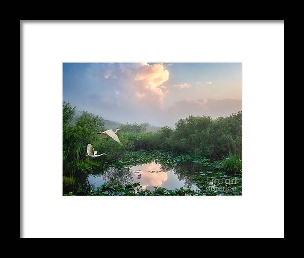Florida Framed Print featuring the photograph Everglades Morning by Louise Lindsay