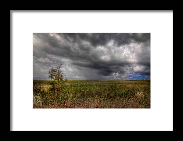 Everglades Framed Print featuring the photograph Everglades Storm by Rudy Umans