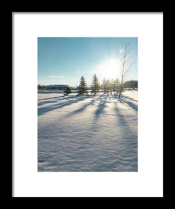 Evergreen Framed Print featuring the photograph Evergreen Shadows On Snow by Karen Rispin