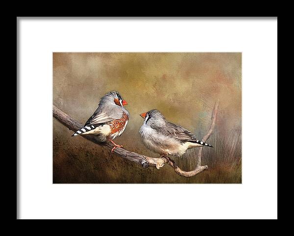 Finch Framed Print featuring the photograph Exotic Zebra Finch by Theresa Tahara