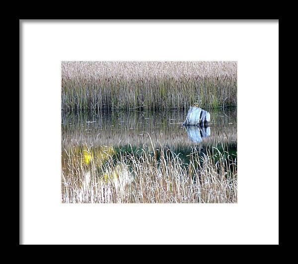 Expansion Framed Print featuring the photograph Expansion by Catherine Arcolio